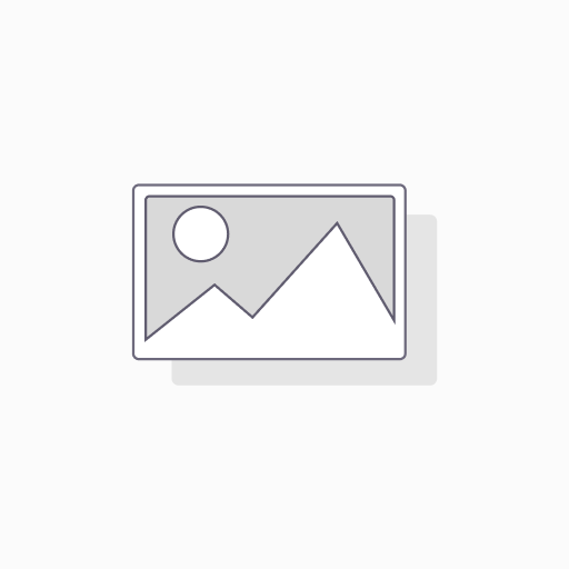 EGG FRIED RICE